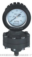 YTP-75S  YTP-100S 全塑隔膜压力表、耐强腐压力表